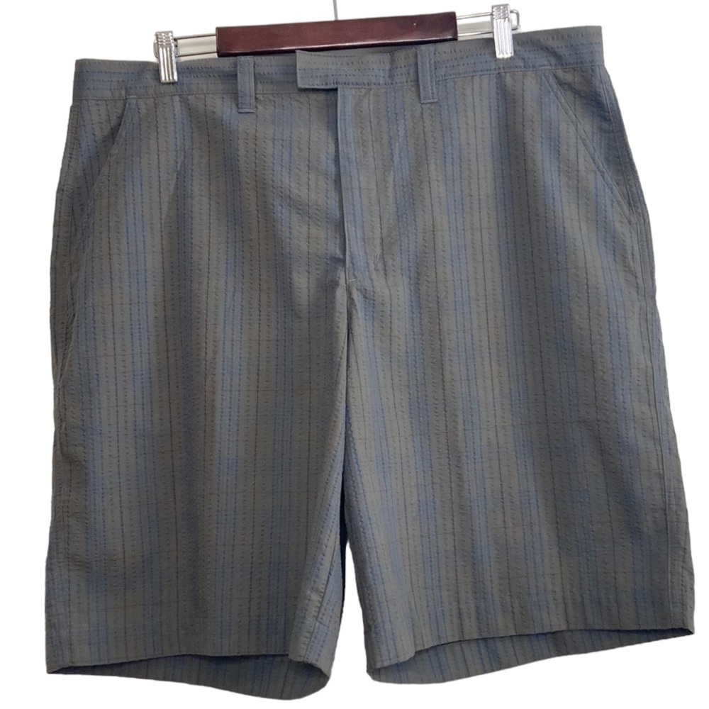 Patagonia Men's Flat Front Shorts in Light Gray with Blue Pinstripes